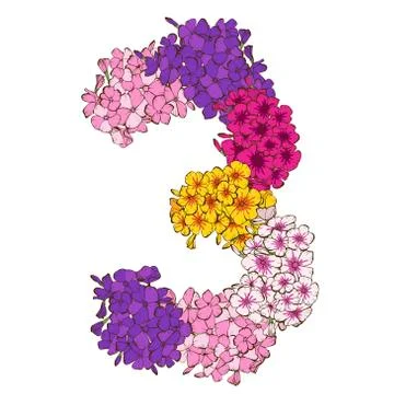 Three digit made of multicolored phlox flowers. Floral element of colorful al Stock Illustration