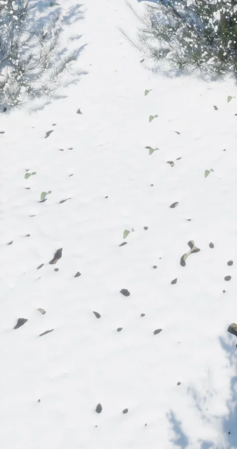 Three-dimensional animation arc shot camera Santa Claus runs hurrying Stock Footage 217410264