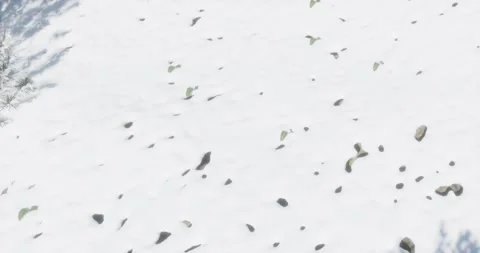 Three-dimensional Christmas landscape rendered with snow on the ground and on Stock Footage 213395074