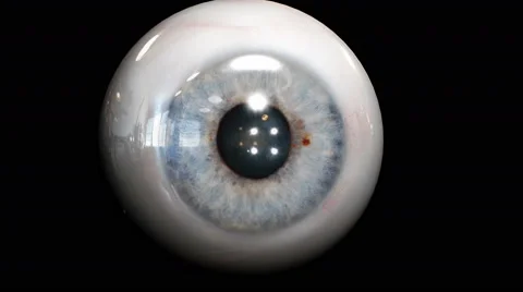 Three-dimensional eyes with pupils dilate Stock Footage 58845802