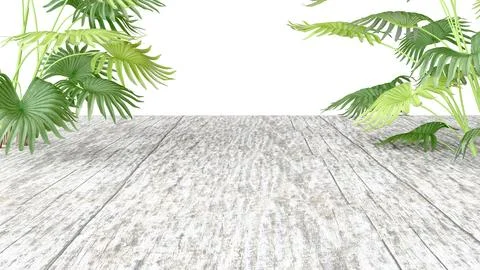 Three-dimensional isolate with wooden flooring in perspective and lush tropic イラスト素材