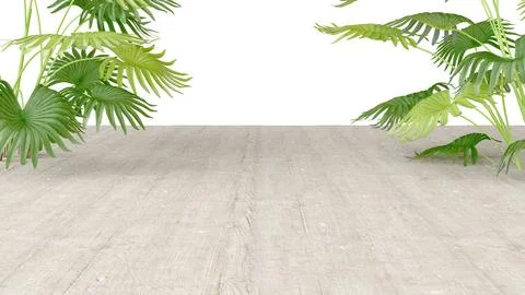 Three-dimensional isolate with wooden flooring in perspective and lush tropic イラスト素材