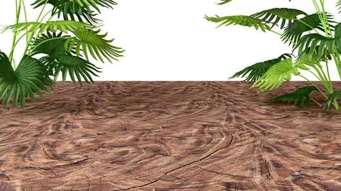 Three-dimensional isolate with wooden flooring in perspective and lush tropic イラスト素材