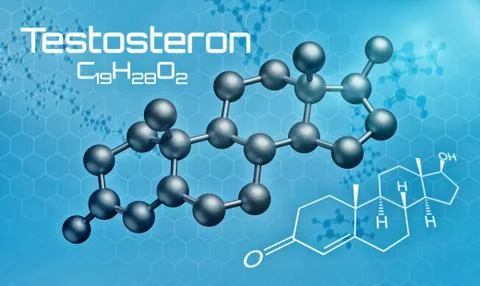 Three-dimensional molecular model of Testosterone - 3d render - Testosteron ( Stock Illustration