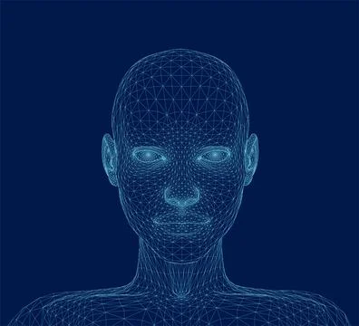 Three dimensional woman head. Front view. Ware mesh from 3d app. Stock Illustration