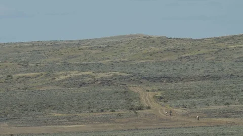 Three distant mountain bikers ride over dirt road windy prairie Stock Footage 74769965