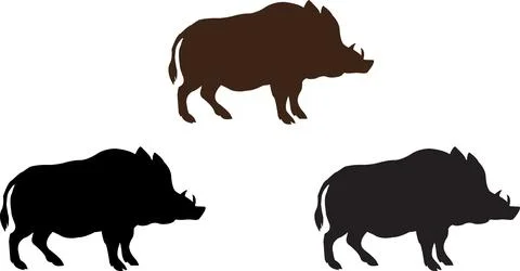Three distinctive silhouette representations of a warthog in various colors.. Stock Illustration