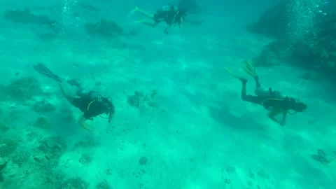 Three divers Video stock 162030934