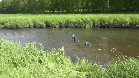 Three divers search the Tollense River for historical artifacts Stock Footage 285756683