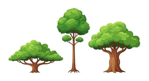 Three diverse cartoon trees with lush green foliage and textured brown trun.. Stock Illustration