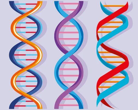 Three dna molecules Stock Illustration