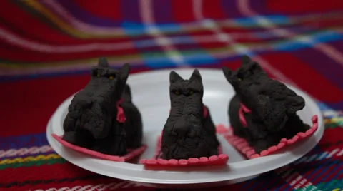 Three dog figurines made ​​of chocolate Stock Footage 32558050
