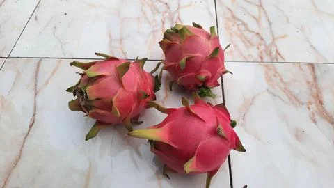 Three dragons on a marble table 02 Stock Photos