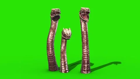 Three Dragons Snake Green Screen Attacks 3D Loop Rendering Animation Video stock 162828272
