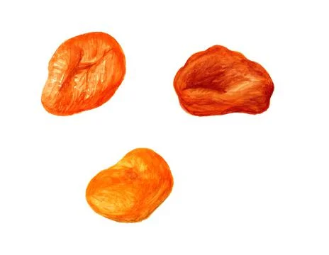 Three dried apricots Stock Illustration