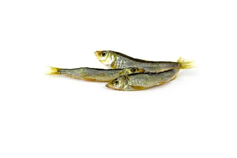 Three dried salted river fish Stock Photos