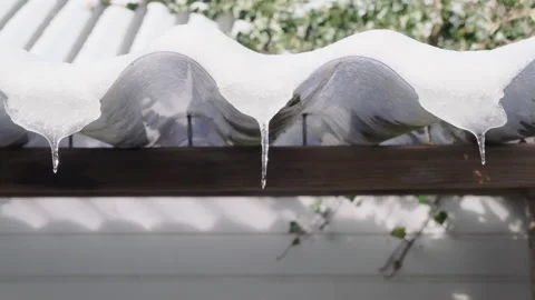 Three dripping icicles Stock Footage 235792681