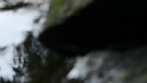 Three Ducks by the river close up 動画素材 8656983