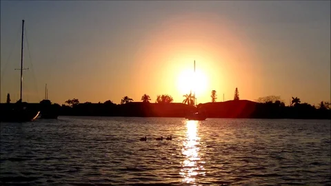 Three ducks swimming in front of a beautiful sunset Stock Footage 93782985