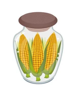 Three Ears of Corn in Glass Bottle Ilustración de archivo