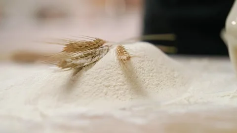 Three Ears Of Wheat Flour Stock Footage 273501192