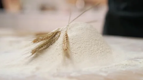 Three Ears Wheat 動画素材 273501214