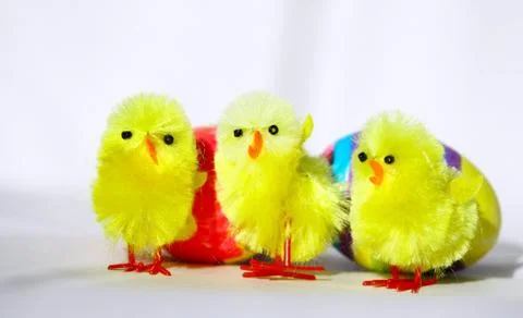 Three Easter Chicken Stock Photos