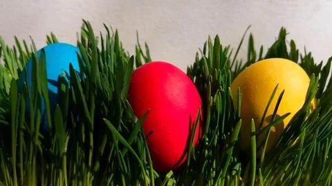 Three Easter eggs among grass Stock Footage 105668267
