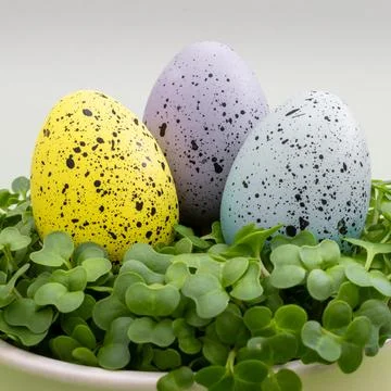 Three Easter eggs with black and white spots are sitting on a green leaf Stock Photos