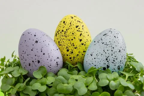 Three Easter eggs with black and white spots are sitting on a green leaf Stock Photos
