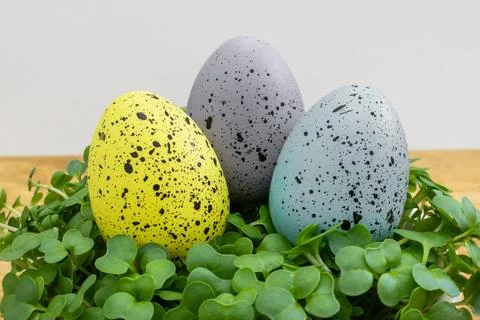 Three Easter eggs with black and white spots are sitting on a green leaf Stock Photos