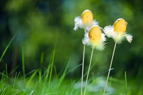 Three Easter eggs on a fresh green grass Stock Photos
