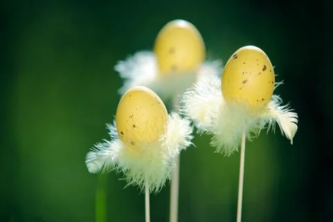 Three Easter eggs on a fresh green background Stock Photos