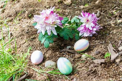 Three easter eggs hidden in flower garden near forget-me-not Stock Photos