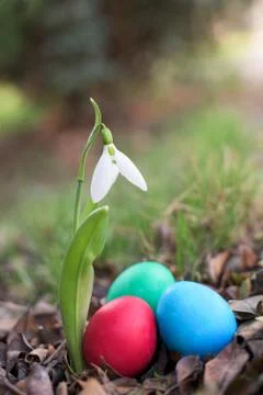 Three easter eggs Stock Photos