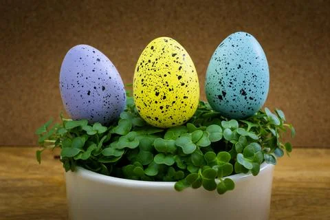 Three Easter eggs with spots are sitting on a plant Stock Photos