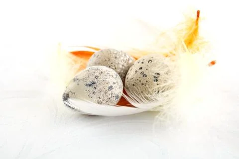 Three easter quail eggs grouped on white tablecloth with white and orange fea Stock Photos