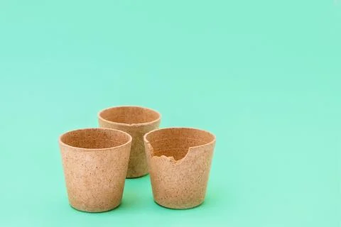 Three eco waffle cups on green background with space for text, edible cups Stock Photos