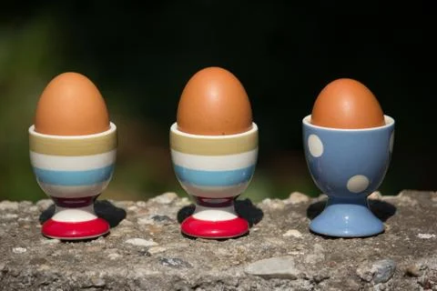 Three egg and Cup with dark blur background Stock Photos