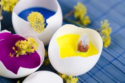 Three egg shells as a Happy Easter decoration with spring flowers Foto stock