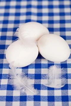 Three eggs and feathers Stock Photos