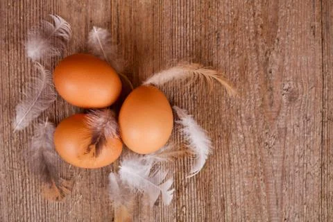 Three eggs and feathers Stock Photos