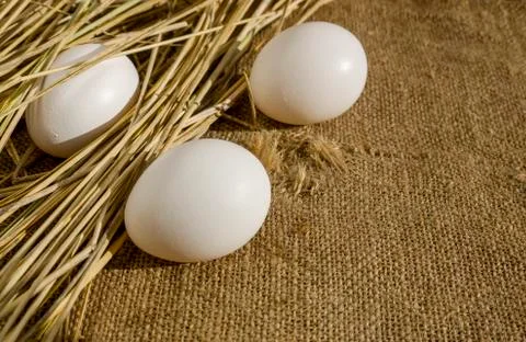 Three eggs on burlap partially in straw. Stock Photos