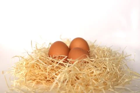 Three eggs lying in a nest on a white background, isolation. Eggs in the nest Foto stock