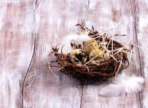 Three eggs in the nest for easter Stock Photos