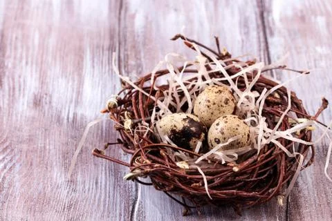 Three eggs in the nest for easter Stock Photos
