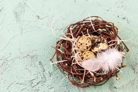 Three eggs in the nest for easter Stock Photos