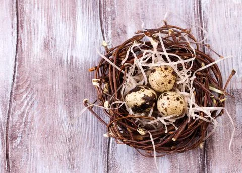 Three eggs in the nest for easter Stock Photos