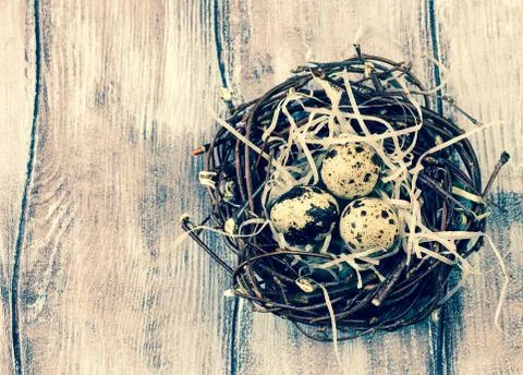 Three eggs in the nest for easter 库存照片