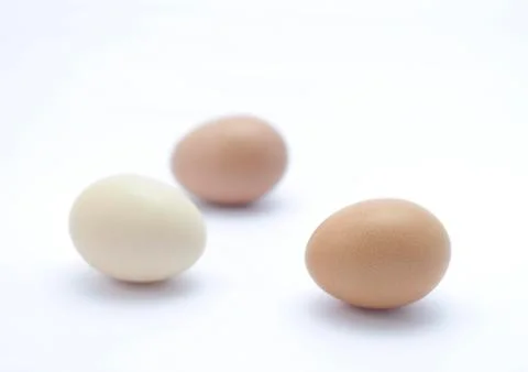 Three eggs Stock Photos
